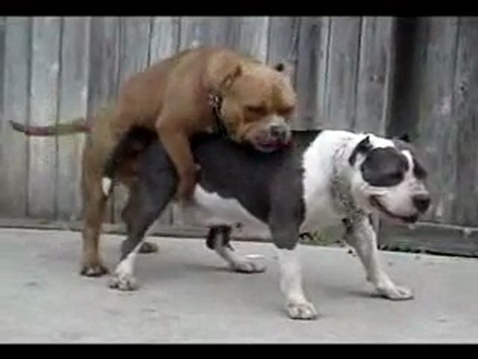 Gekotzt wird spaeter