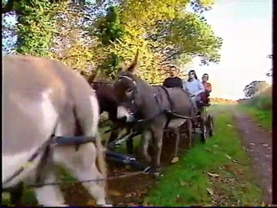 Copie de notre reportage