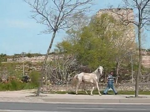 Beyaz atlı prens İstanbul'da