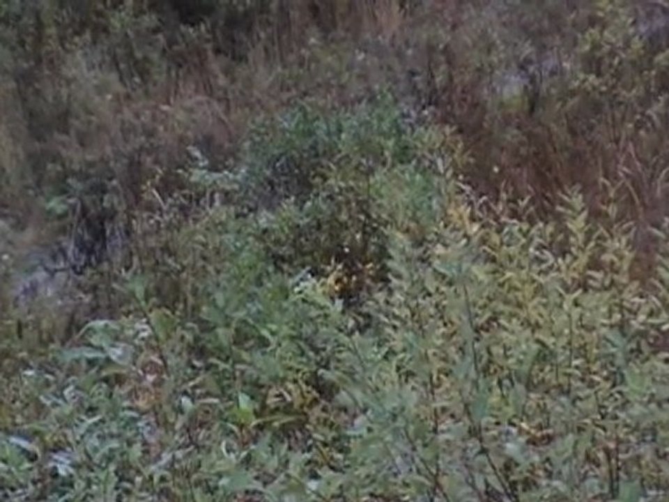 VTS_04_1