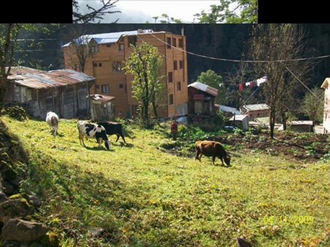 Behçet gülas-çay zamanı- kavrun.tr.gg