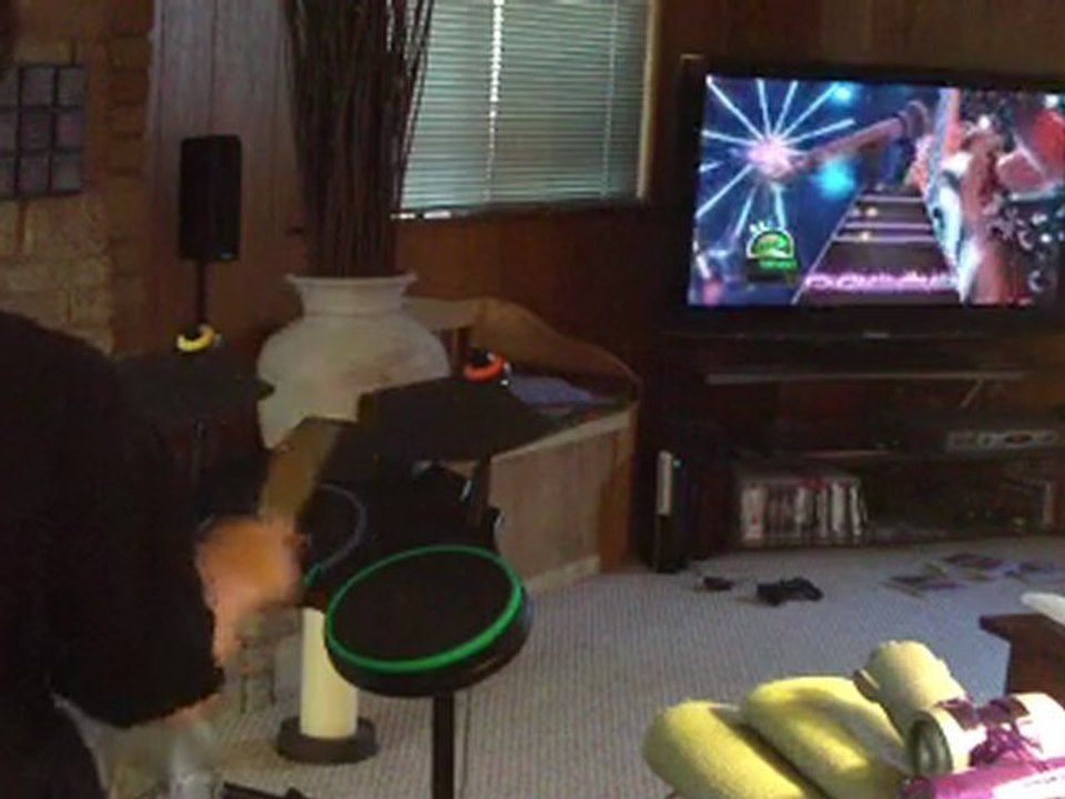 Stillborn on Expert