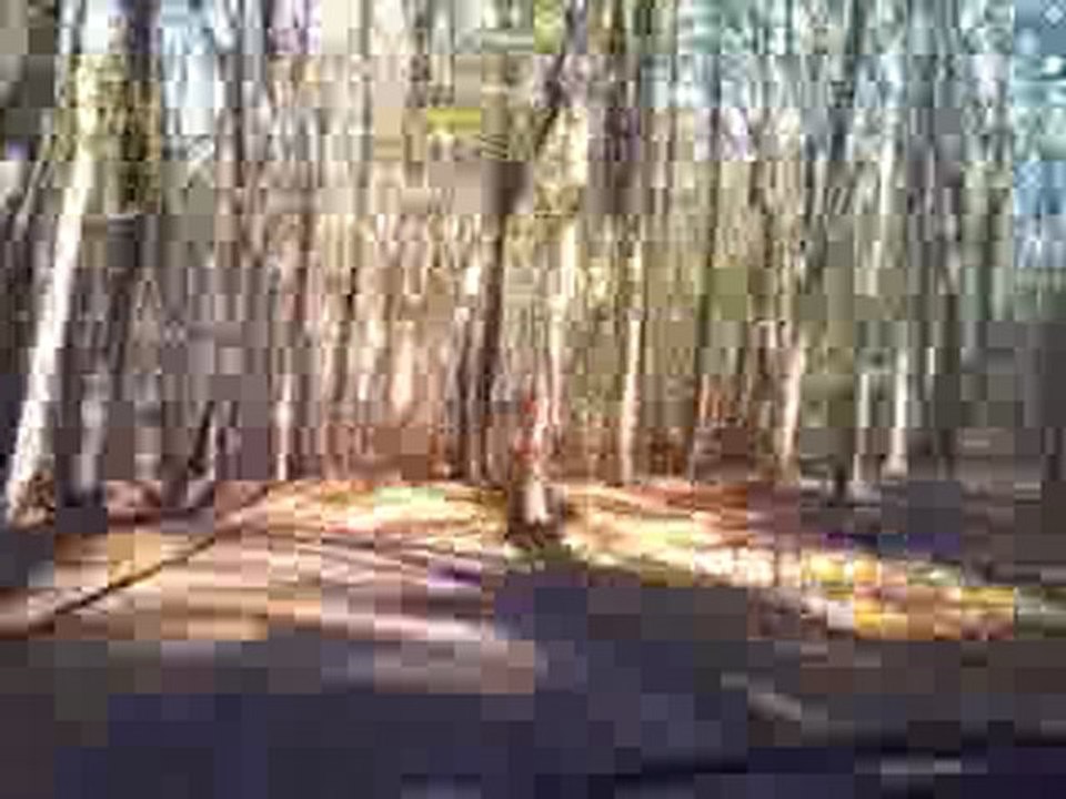 the road
