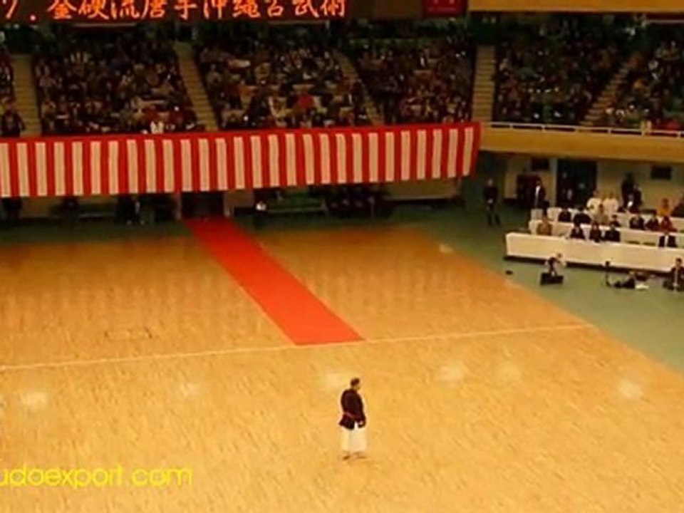 Kingai Ryu Karate