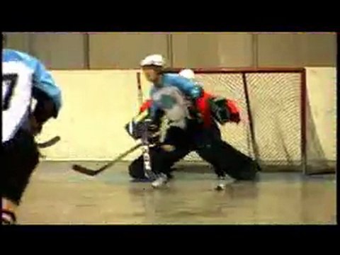 Calgary Ball Hockey Leagues for Youth Men and Women by Supe