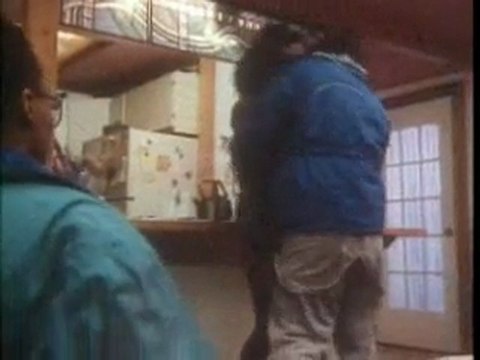 Degrassi Junior High - s03e15 - Pa-arty! - (2 of 2)