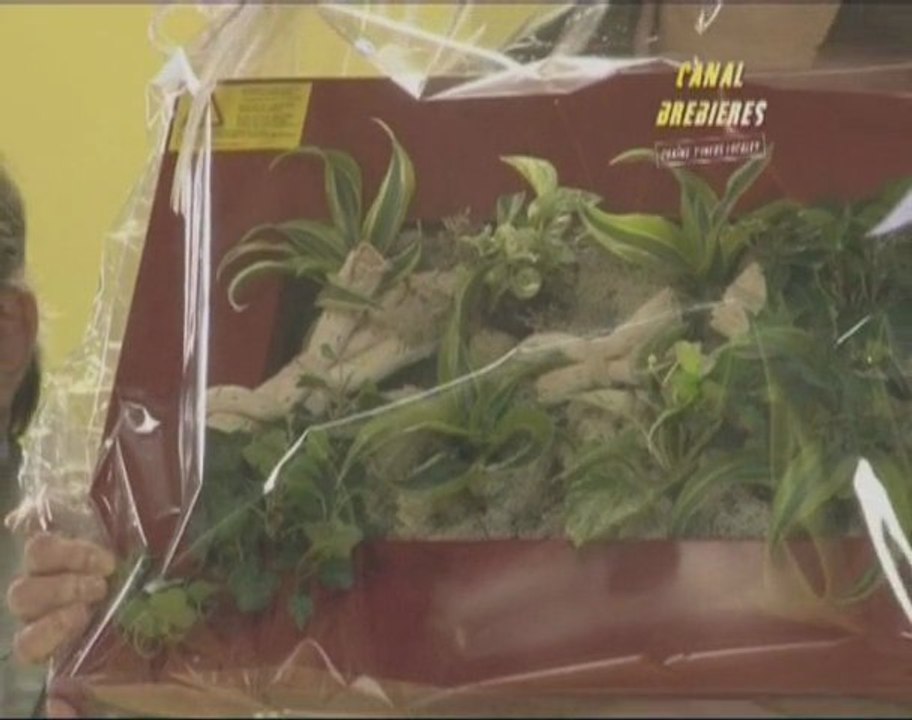 Remise des récompenses des maisons fleuries