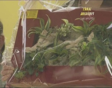 Remise des récompenses des maisons fleuries