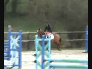 rebel du jouas 5 ans D sommery