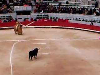 Corrida concours: Maria Luisa D. Perez de Vargas