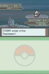 Pokemon Platine DS 02