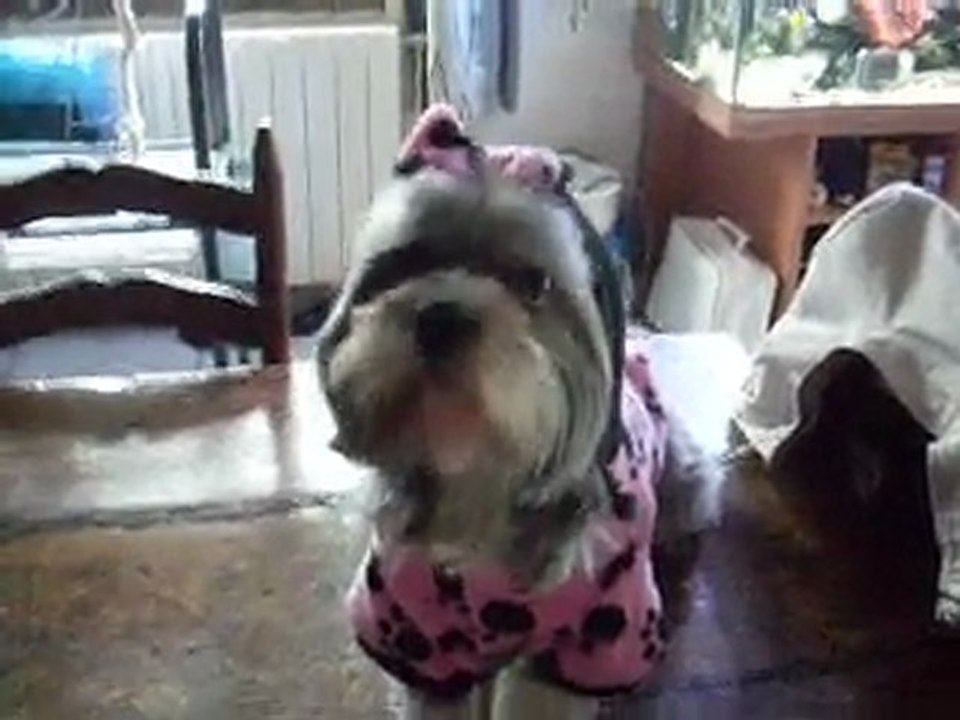 louna