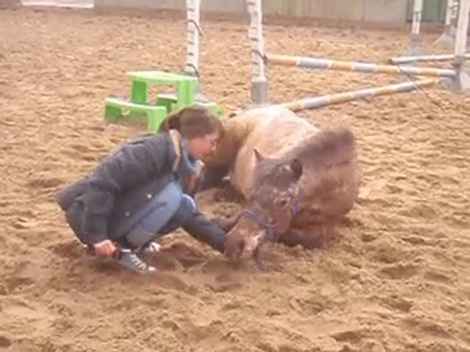 Sucette se couche sur demande (4)