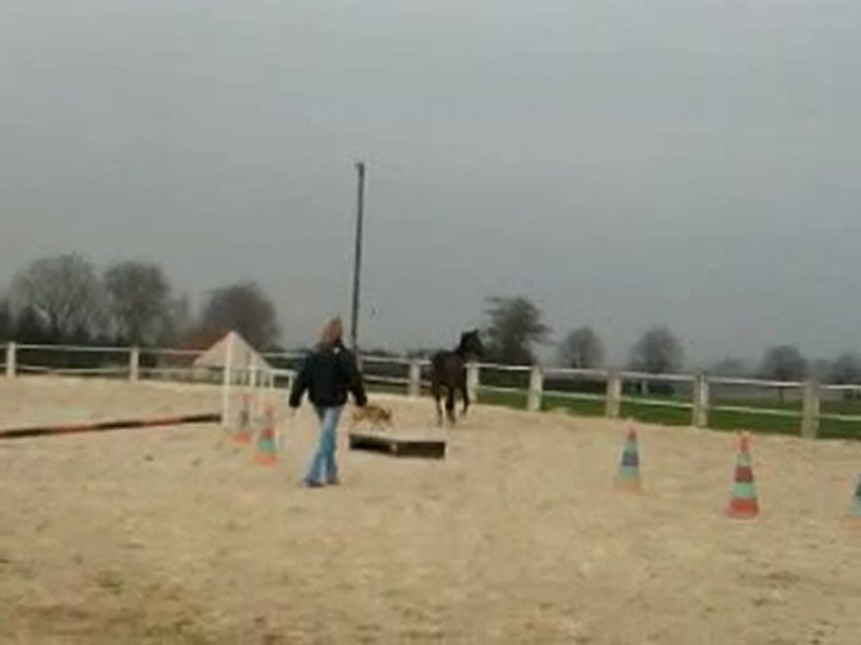 coup de cul de tornade