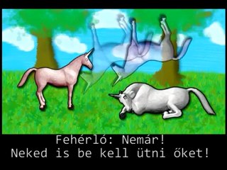 Román-magyar szövetség a lengyelek ellen!