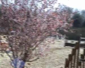 CSO de Bonneville - avril 2010