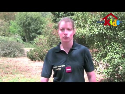 bspp-veterinaire-morsures-de-chien