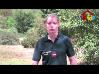 bspp-veterinaire-morsures-de-chien