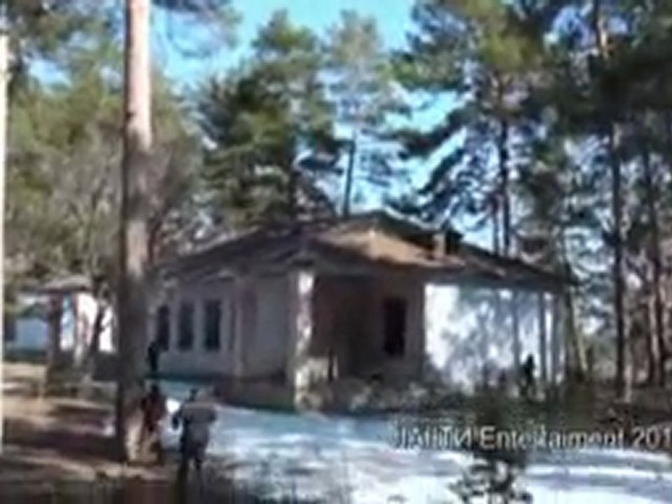 День космонавтики (вариант медвежий)