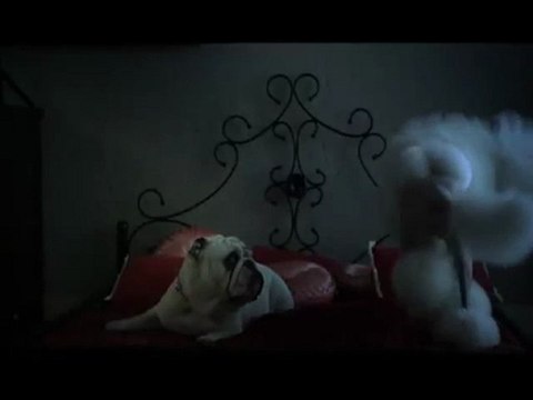 Pub Frolic Chiennes - Coupsdepub.com