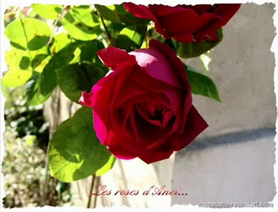 ANNEM ve TÜM ANNELERE...