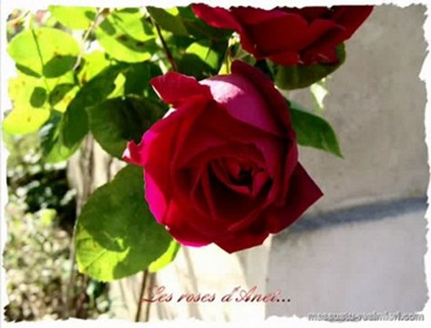 ANNEM ve TÜM ANNELERE...