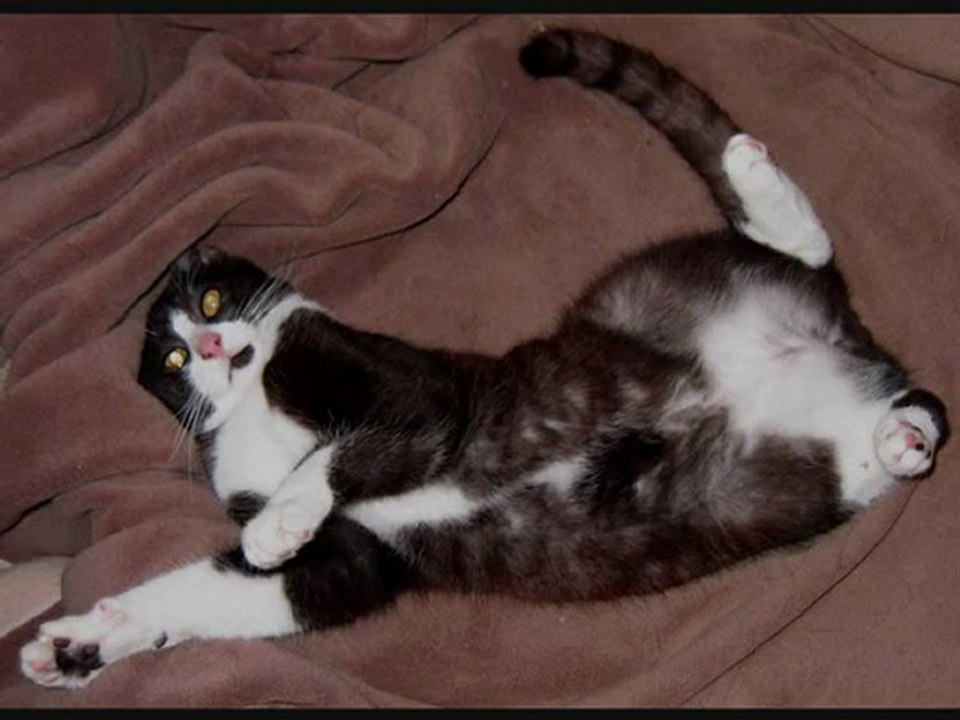 On descend ? Chiche!