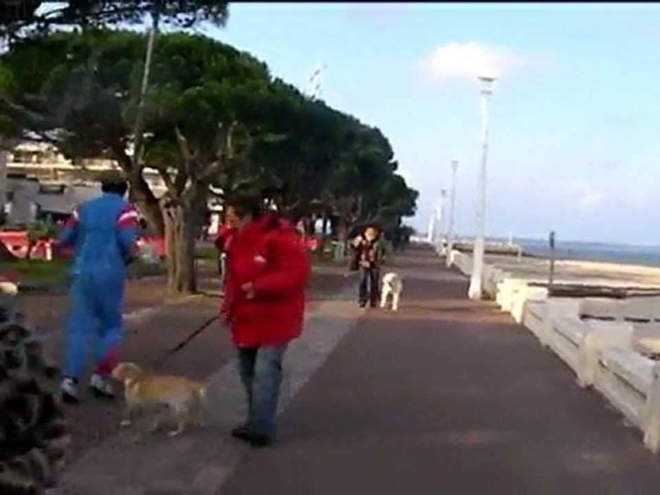 Cours collectif d'éducation canine en ville à Arcachon