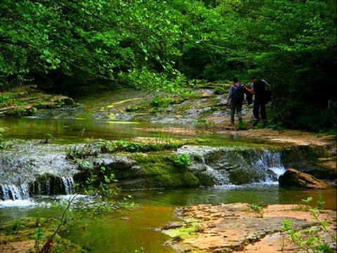 Ağva Otelleri - agvaotelleri.org