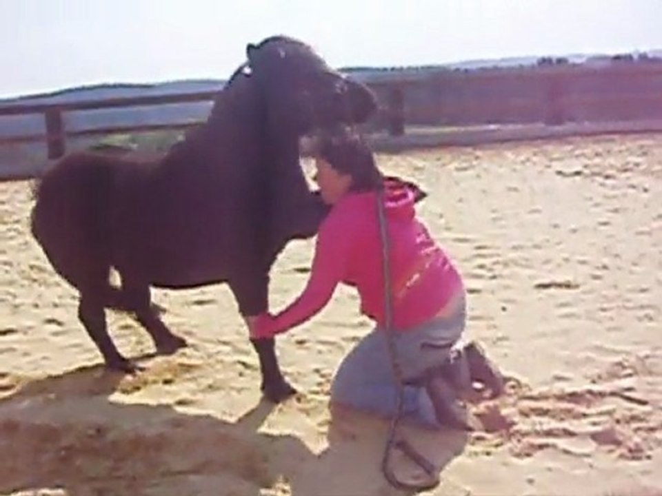 NEWTOURS GITANNE