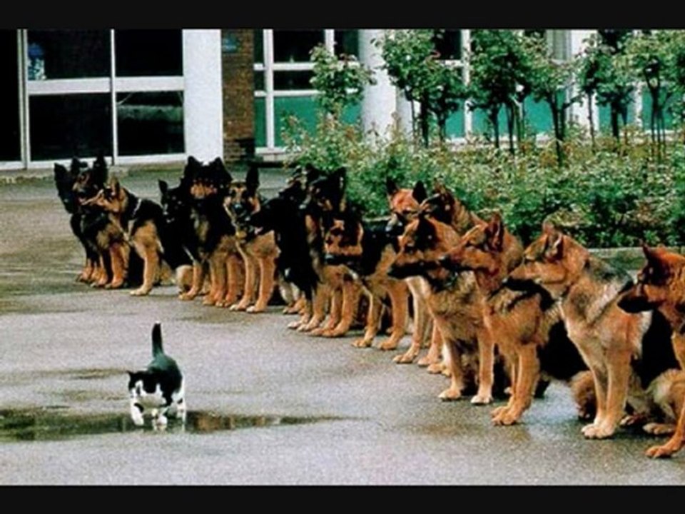 CEREN DUMAN, Sil Baştan