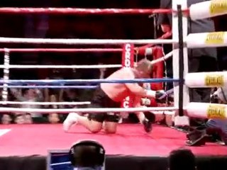 Holyfield vs Botha fight night knockout