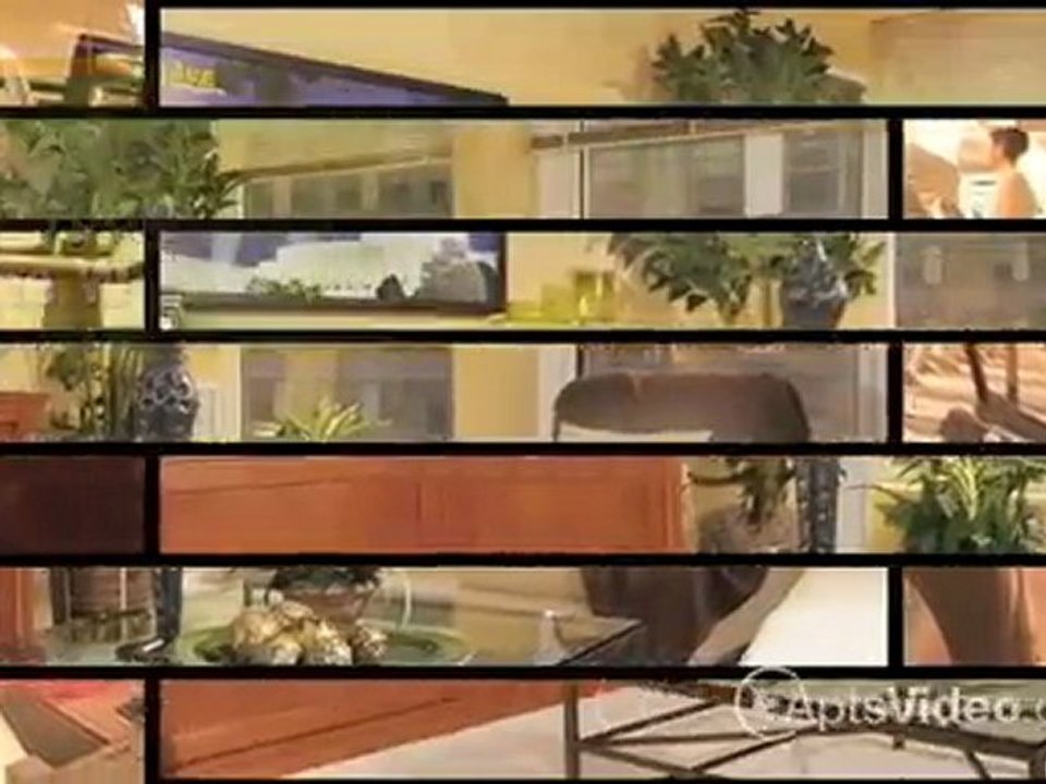 Regents Park Apartments in Chicago, IL - ForRent.com