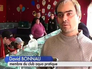 La bourse aux poissons de la Chapelle Saint-Luc