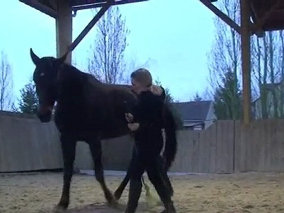 scapa montage liberté