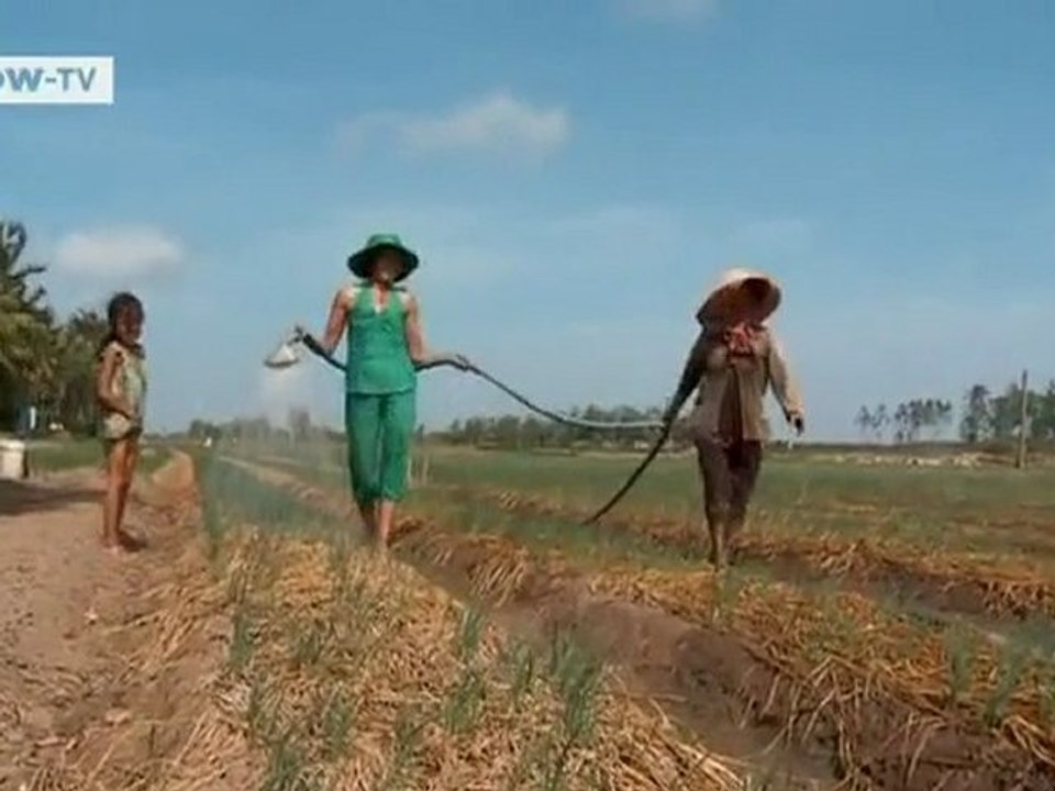 Vietnam: deforestation and climate change | Global 3000