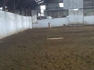 10 éme jour  de vie de spirit