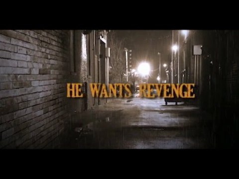 Blind Spot Nancy Bush Book Trailer