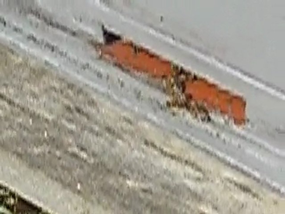 Jegul