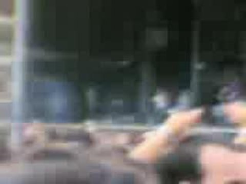 Louise Attaque : Solidays 2006