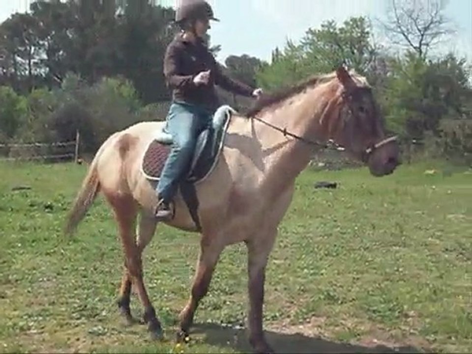 Jumper le 13/04/10 (avec marylou)