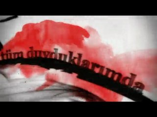 110 - istedigin buysa