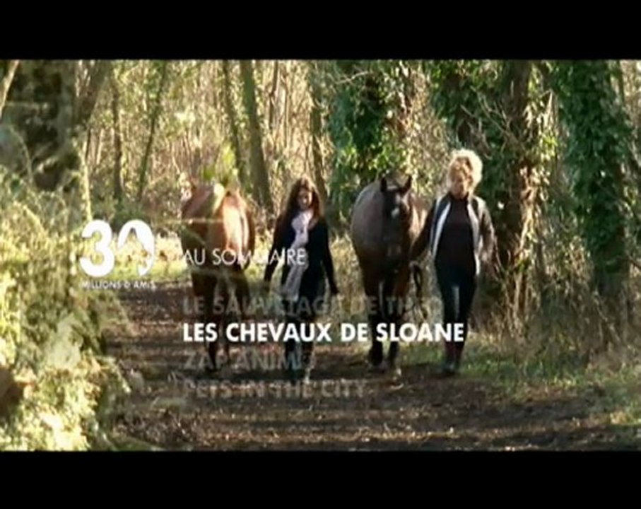 Sommaire émission 30 Millions d'Amis du 17 04 10