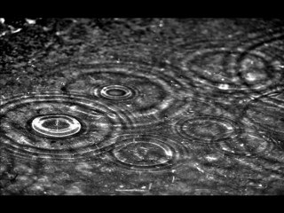 ON N'EN MEURT PAS (DEMO) - Dave Richard & Cédric Tilèpe