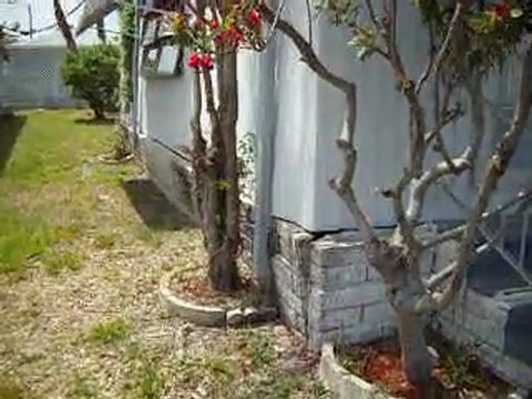 Mobile Home For Sale In Sunny Florida!