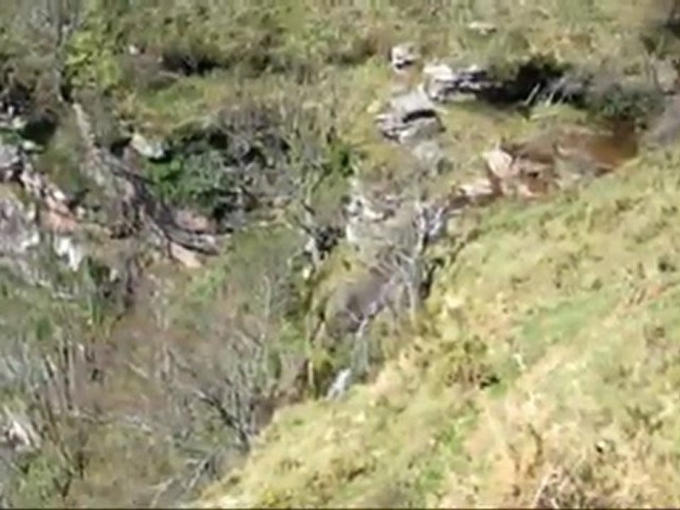 Ichusi pour les vautours.lundi 12.04