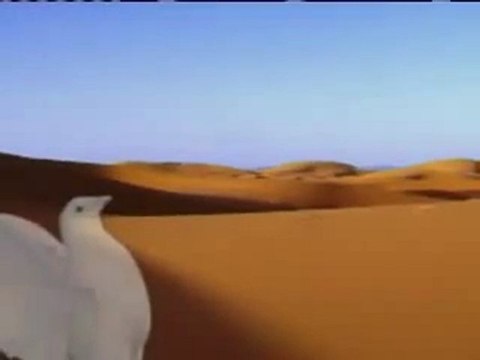 Muradiye Kültür Vakfı -Tanıtım Videosu -