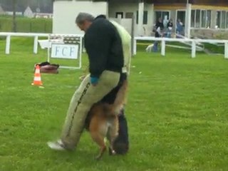 Conduite de recherche