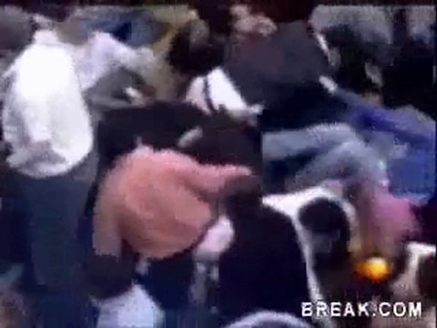 1337-les_arenes taureau gens