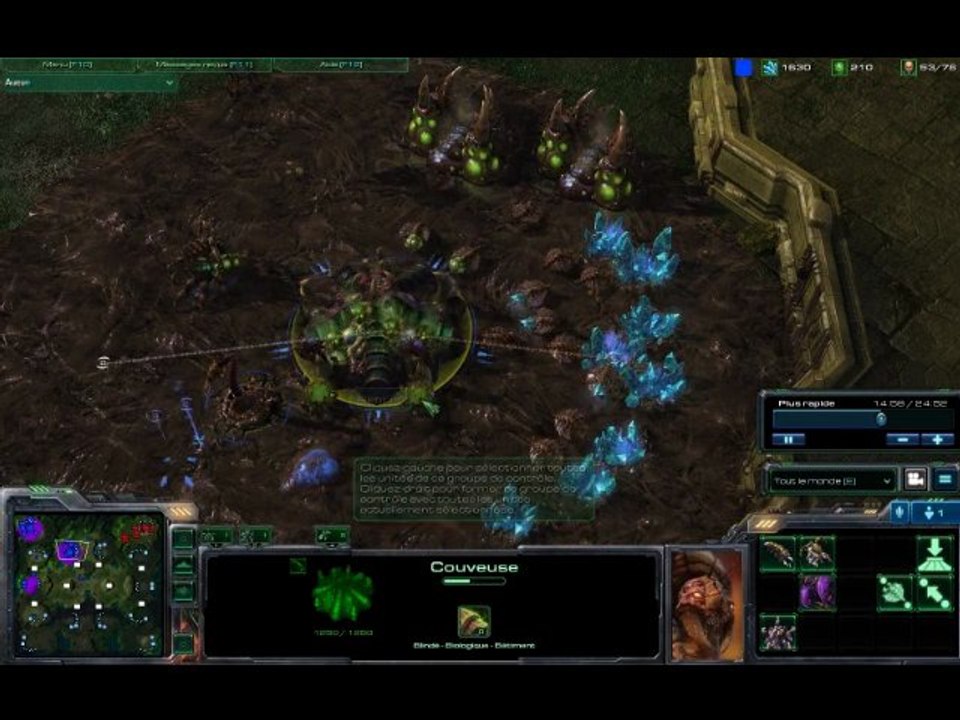 Starcraft 2 Beta - Conseils Zerg 3